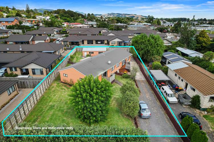 7a Bush Street Paeroa_1