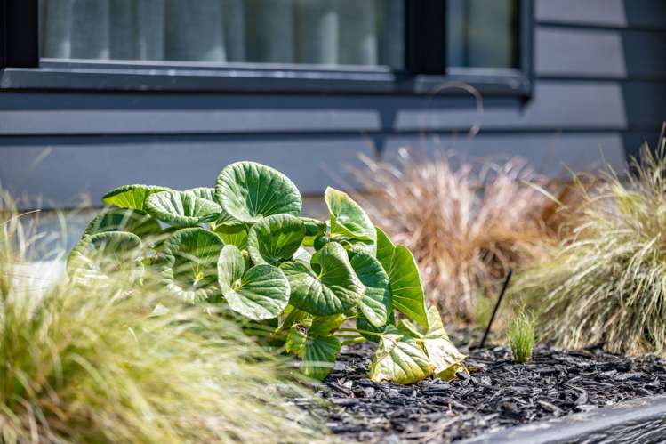 28 Pioneer Drive Te Awamutu_32