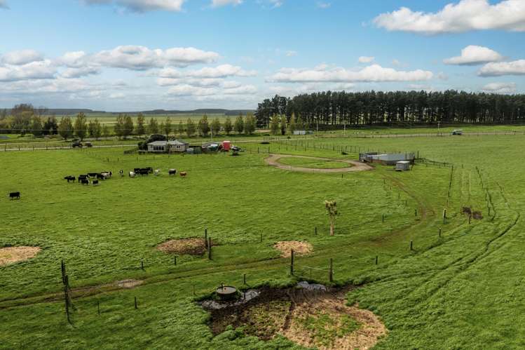 293 Beamish Road Bulls_13