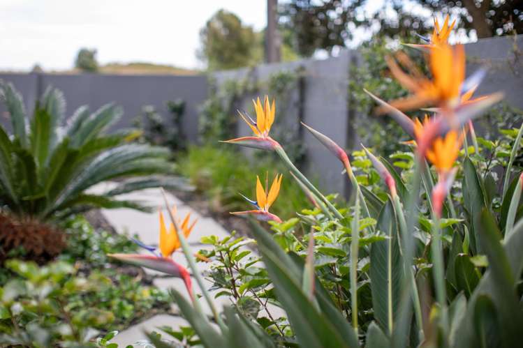 306 Papamoa Beach Road Papamoa_31