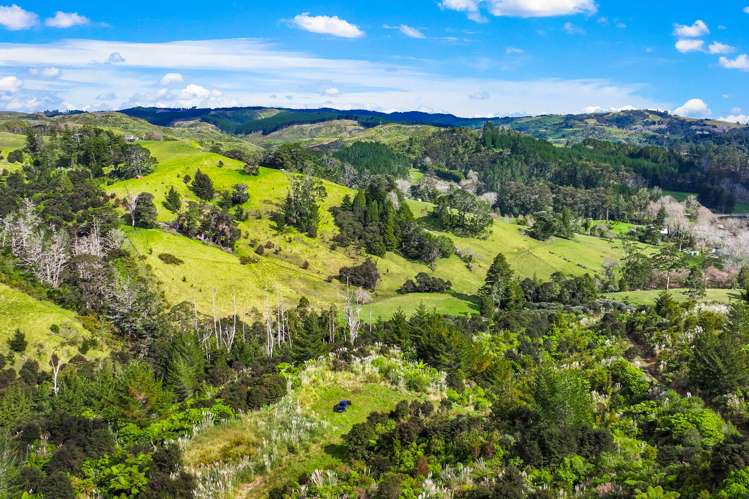 Lot 3 Radiata Road Warkworth_11