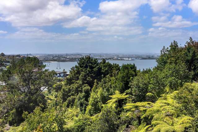 40 Goodall Street Hillsborough_3