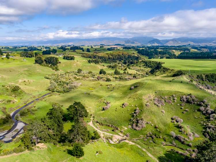 200 Garfield Road Norsewood_11