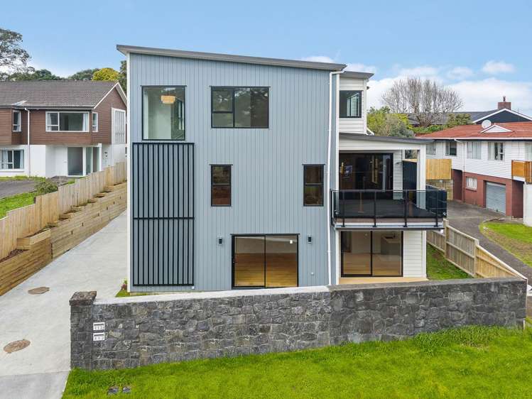 113 Queenstown Road Onehunga_8