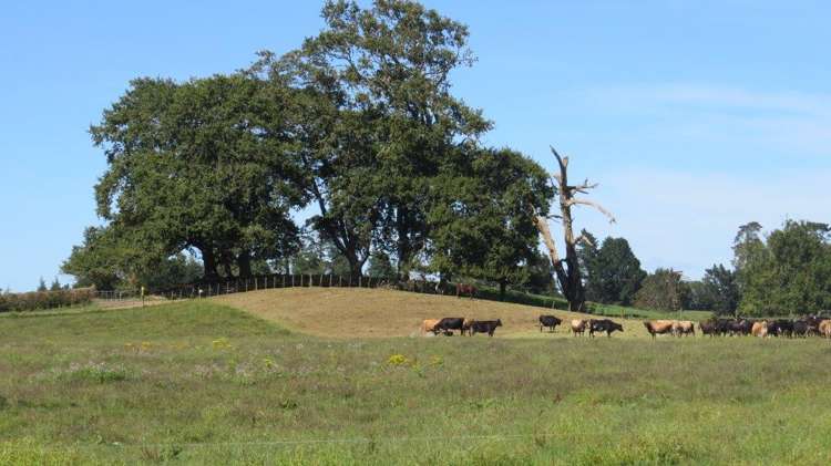 1276 Kakaramea Road Ngahinapouri_7