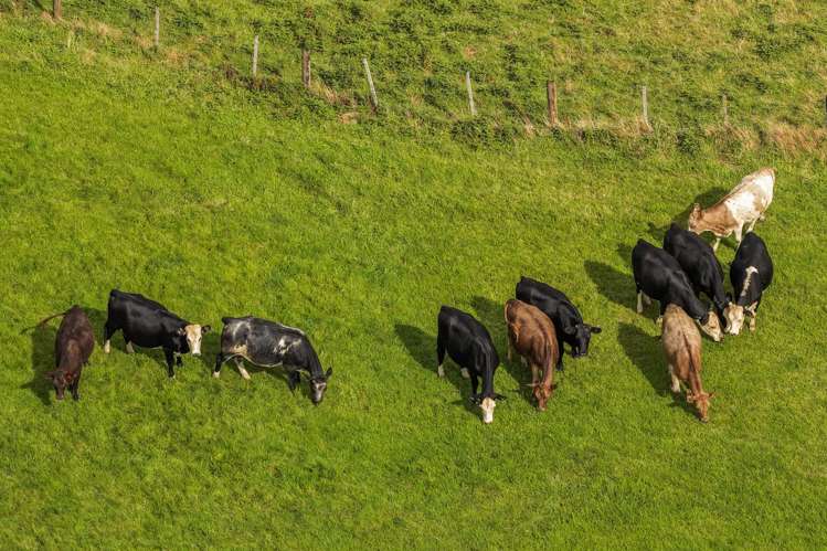 54 Thorn Road Waihi_29