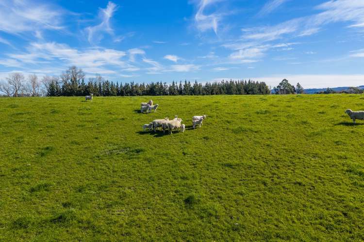266 Rangiora Leithfield Road Sefton_16