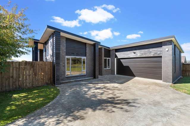 200 Helenslee Road Pokeno_1