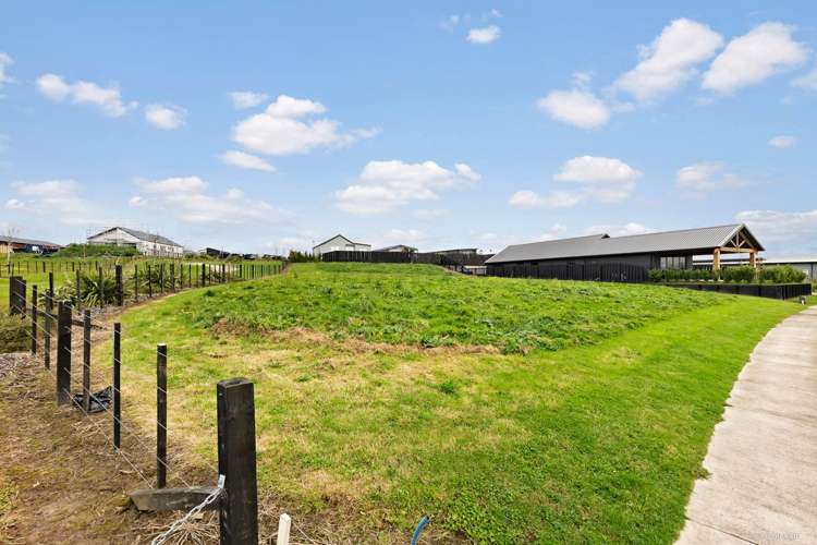 41 Whites Way Te Kauwhata_7