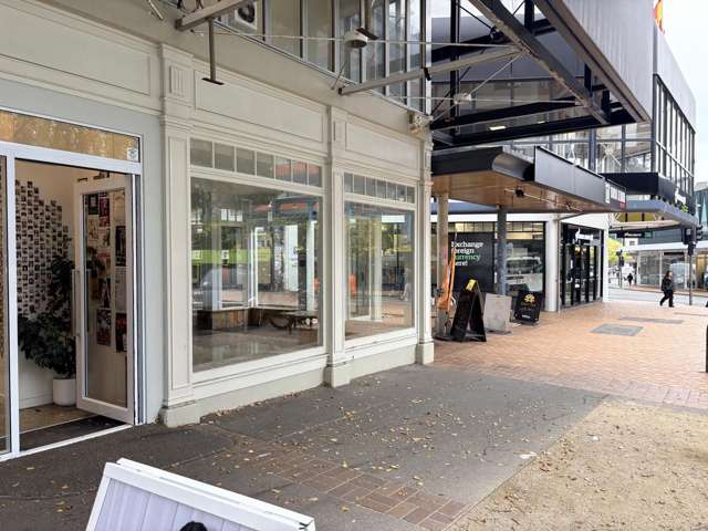 Ground/120 Victoria Street Te Aro_1