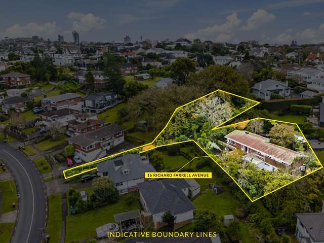 16 Richard Farrell Avenue Remuera_3