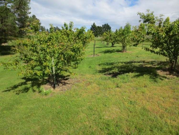 117 Letts Gully Road Alexandra_14