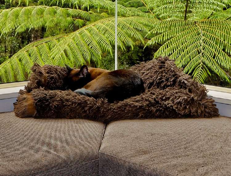 53a Onedin Place Titirangi_18