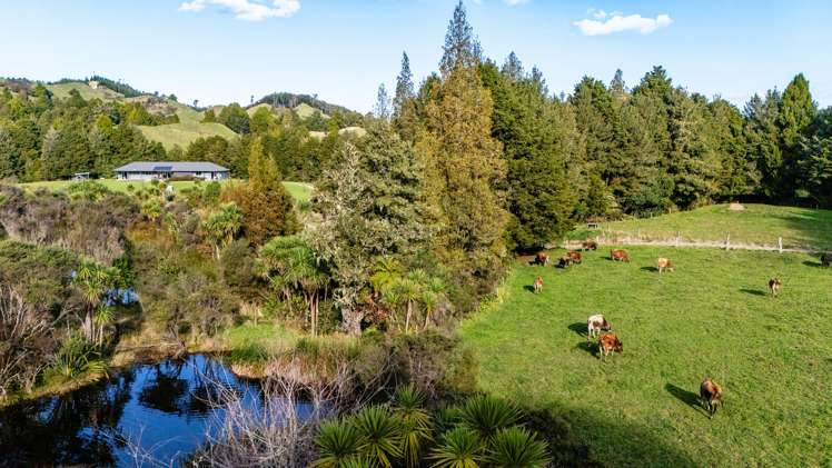 693A Stanley Road Wainui_5