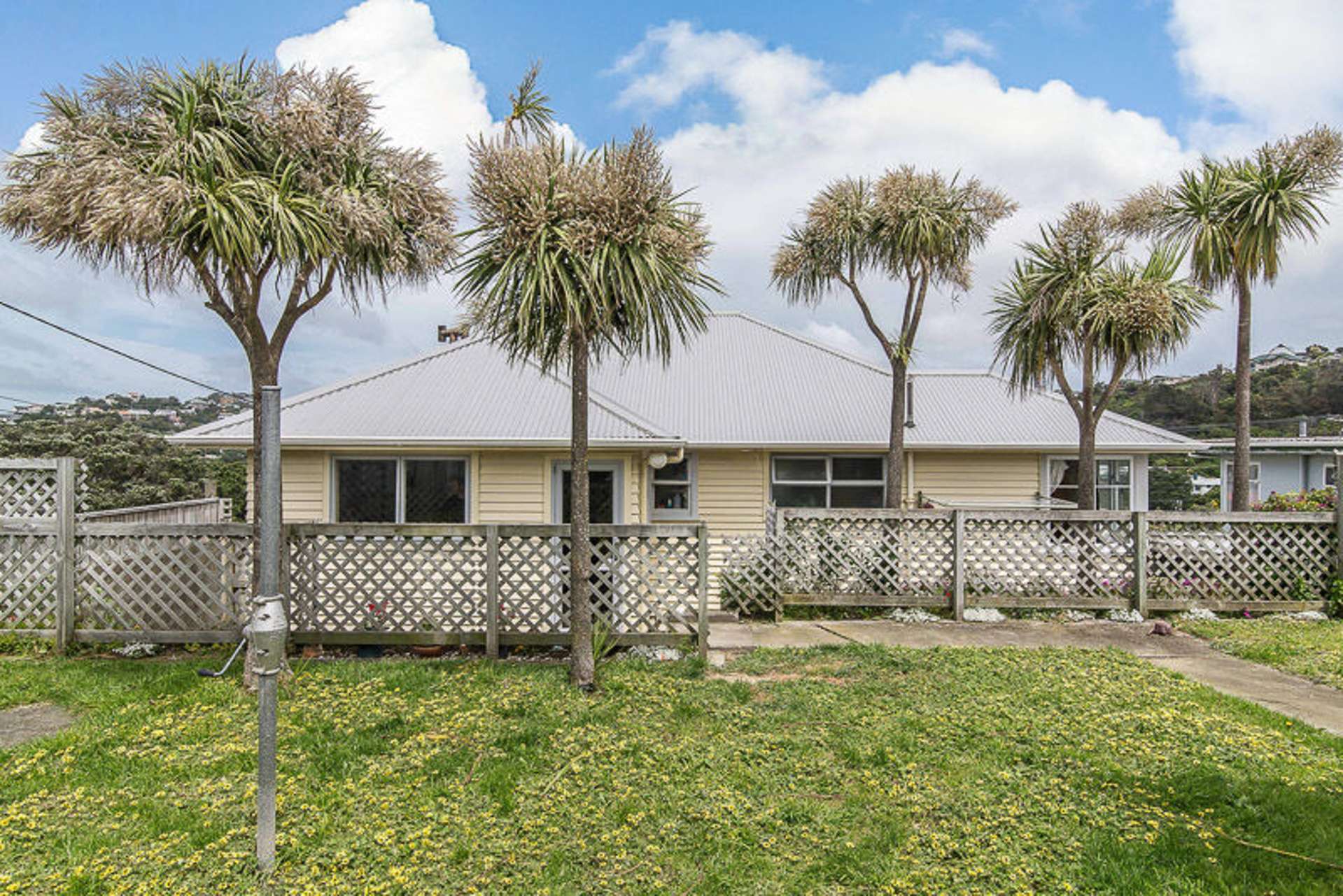 3 Camperdown Road Miramar_0