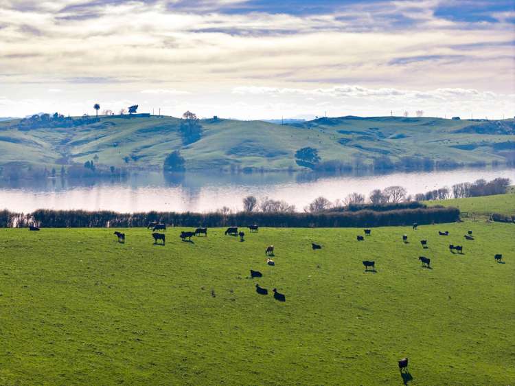 260a Bain Road Ruawaro_18