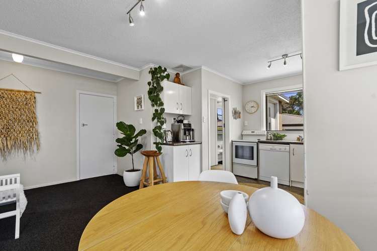 14 Lodge Avenue Mount Maunganui_14
