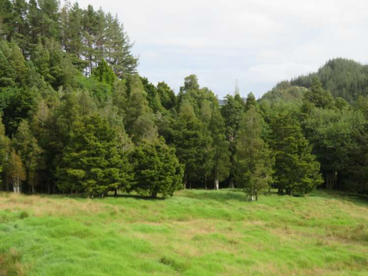 285 Peria Road Peria_19