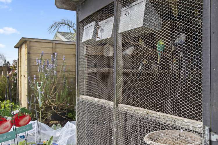 4 Garden Terrace Pukekohe_26