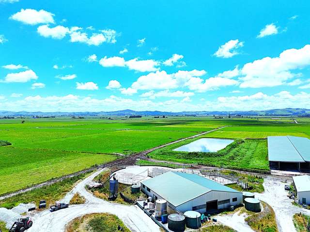 331 Simpson Road Ruawai_4