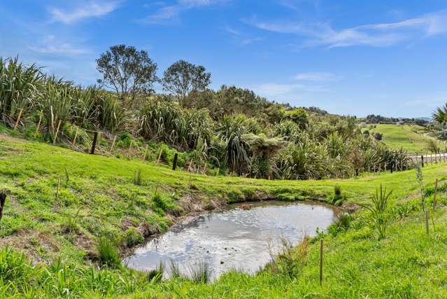 Lot 1/36 Ridge Way Mangawhai_3