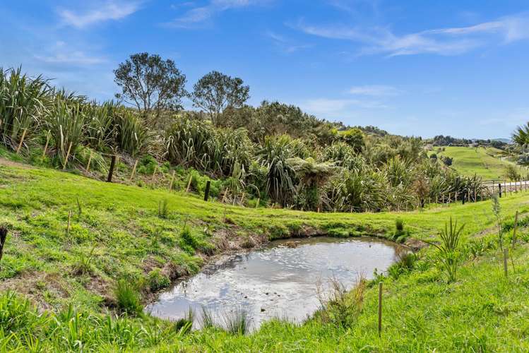 Lot 1/36 Ridge Way Mangawhai_3