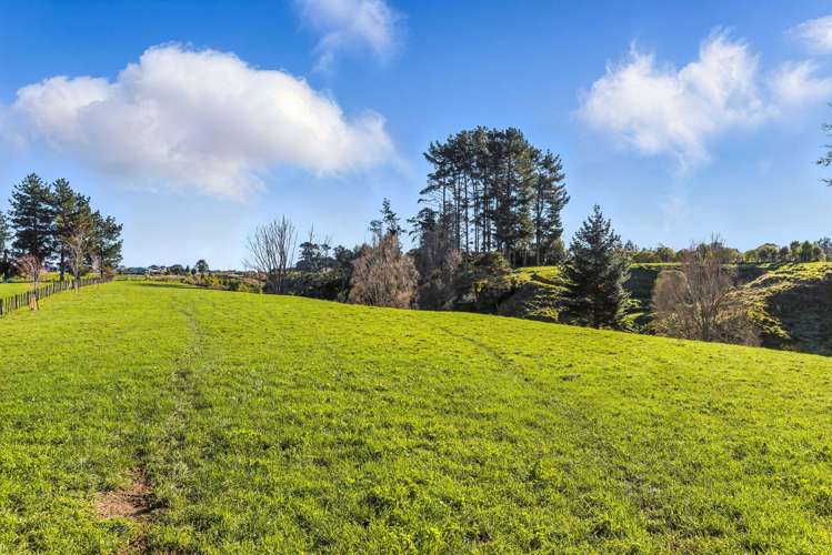 39A The Avenue Levin_38