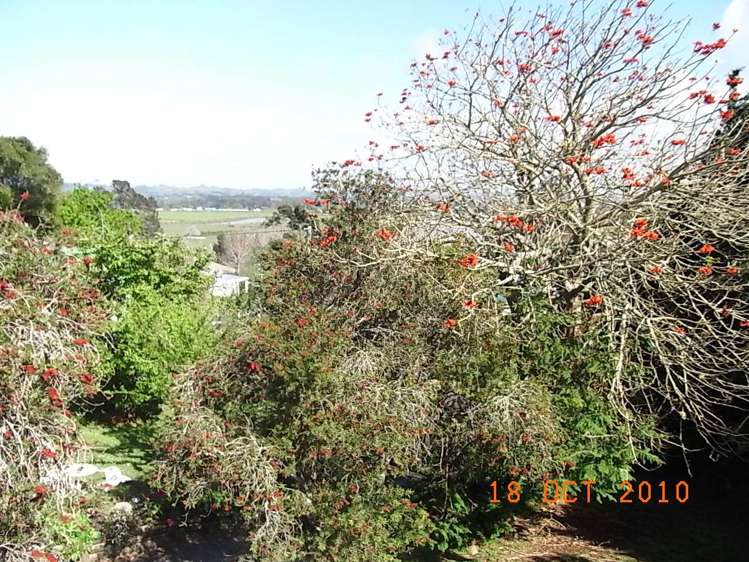 30 Makiri Street Helensville_5