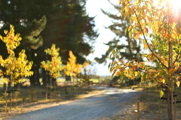 65 Butterfield Road Hawea Flat_8