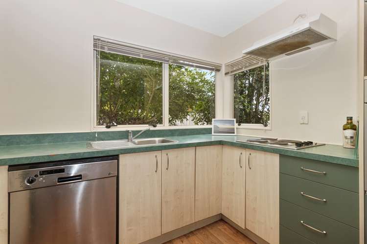 28 Maitland Street Frankton_5