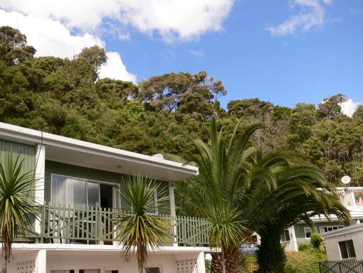 5/58 School Road Paihia_3