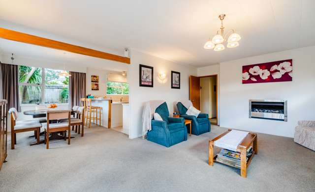 61 Sheridan Drive New Lynn_4