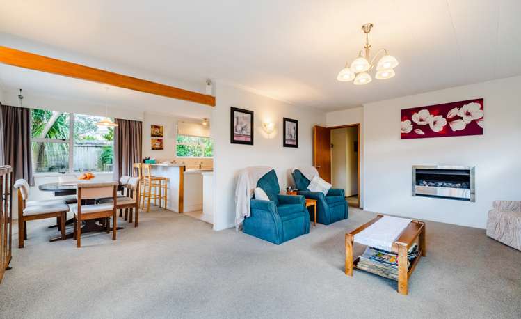 61 Sheridan Drive New Lynn_4