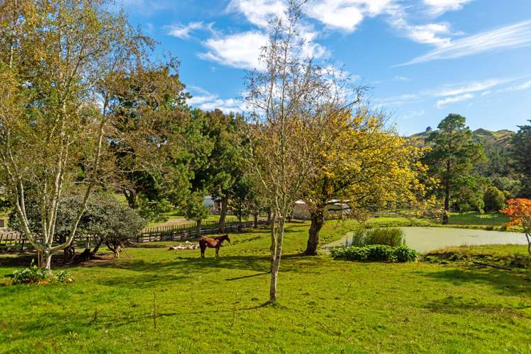 Lot 1, 783 Glenroy Road Whangara_15