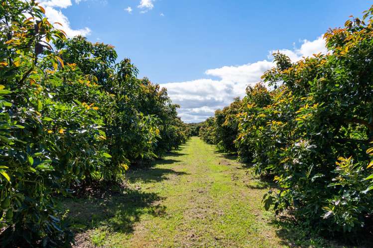 42 Ferry Road Waerenga-A-Hika_5