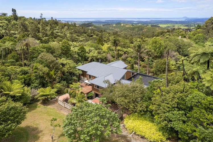 425B Lund Road Katikati_3