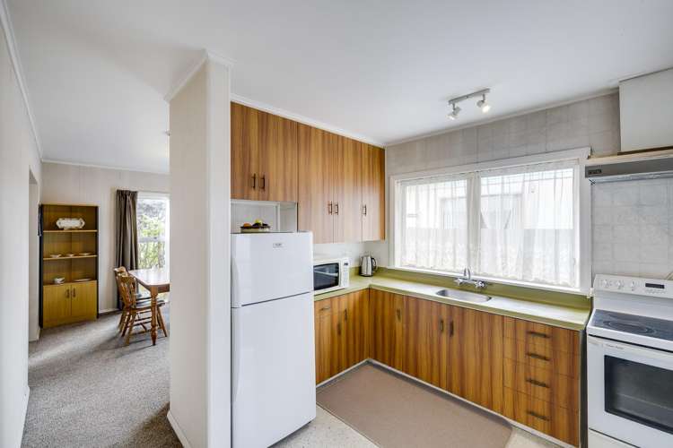 53 Alexander Avenue Onekawa_5