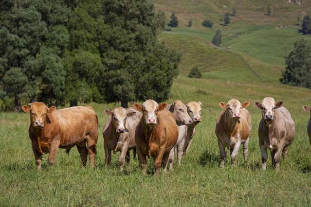 510 Barclay Road Aria_3