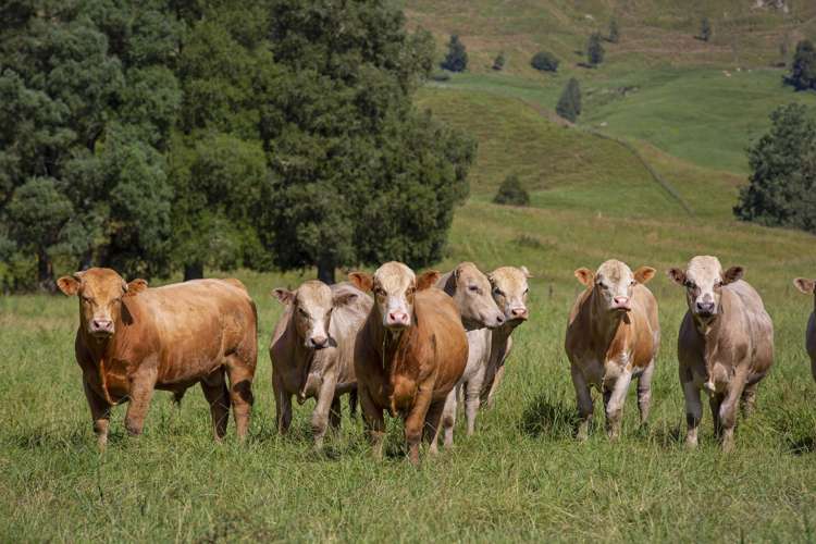 510 Barclay Road Aria_3