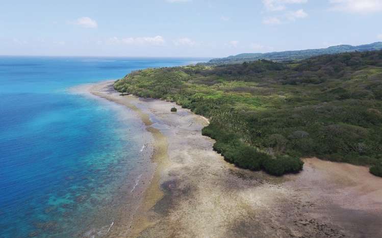 Matana Plantation Koro Island_7