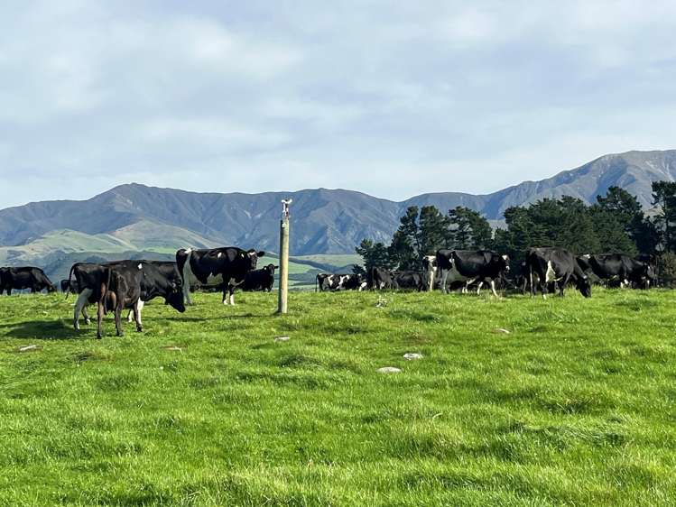 108 Klondyke Terrace Mayfield_10