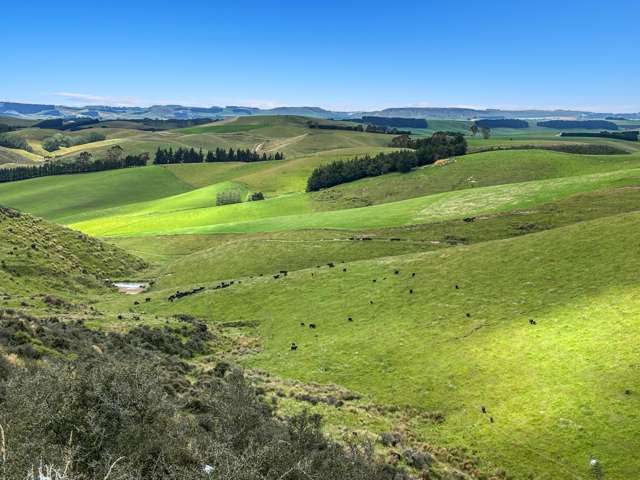 148 Tapui Homestead Road Oamaru_4