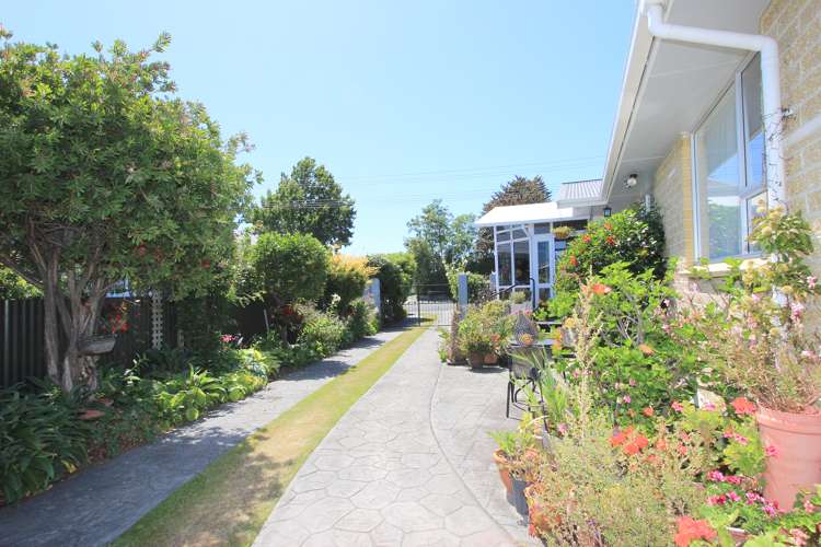 50 Howick Road Redwoodtown_17