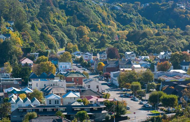 DUNEDIN-AERIAL-(2)