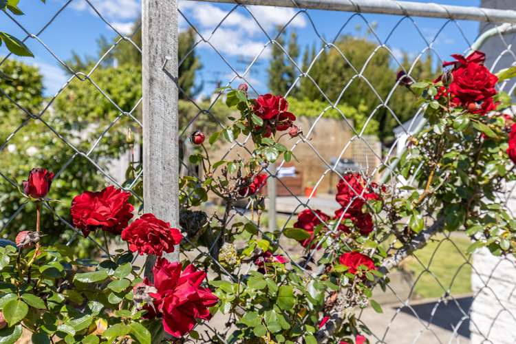 91 Howick Road Redwoodtown_10