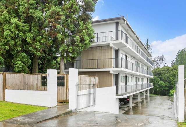 Renovated 1 Bedroom, 1 Bathroom Unit with off-street parking in Otahuhu