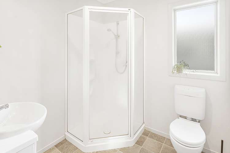 219d Peachgrove Road Claudelands_11