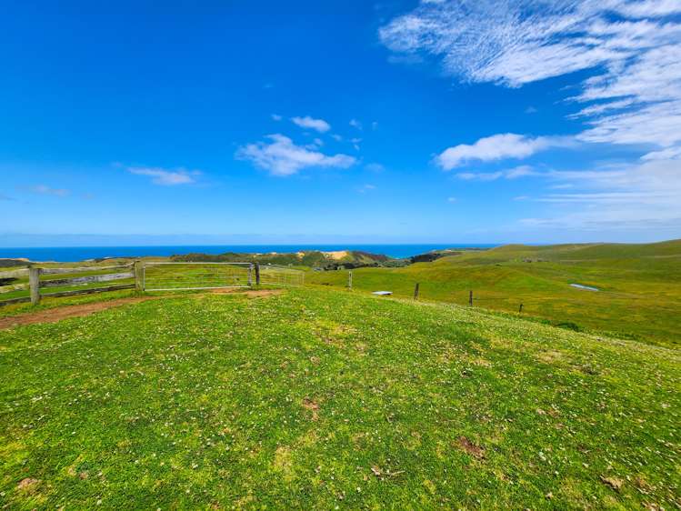 627 Mahuta Road Dargaville Surrounds_19