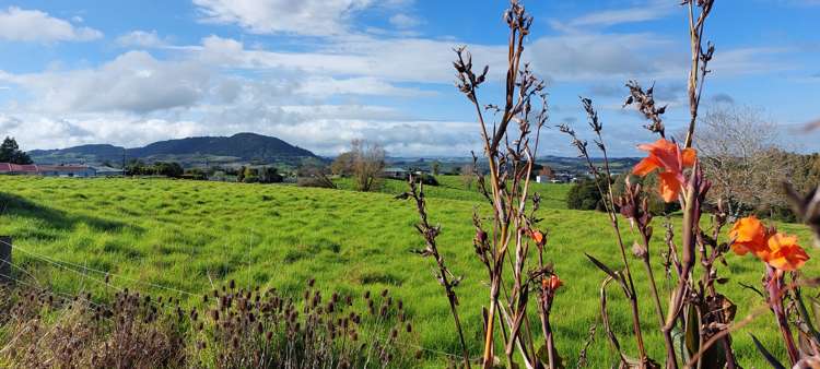 59 Griffin Road Maungaturoto_10