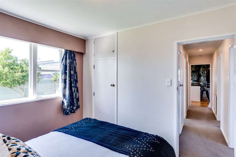 56 Alexander Avenue Onekawa_13